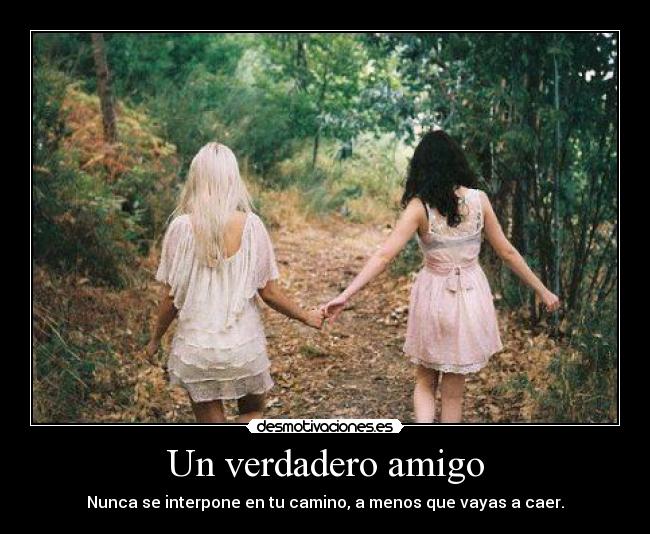 Un verdadero amigo - Nunca se interpone en tu camino, a menos que vayas a caer.