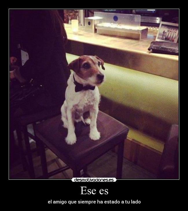 Ese es - el amigo que siempre ha estado a tu lado