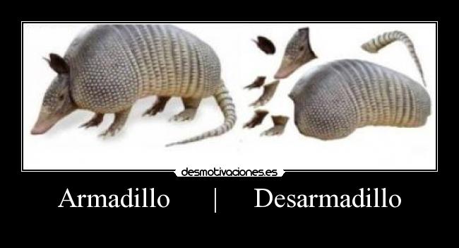 carteles armando esta armando armadillo desmotivaciones