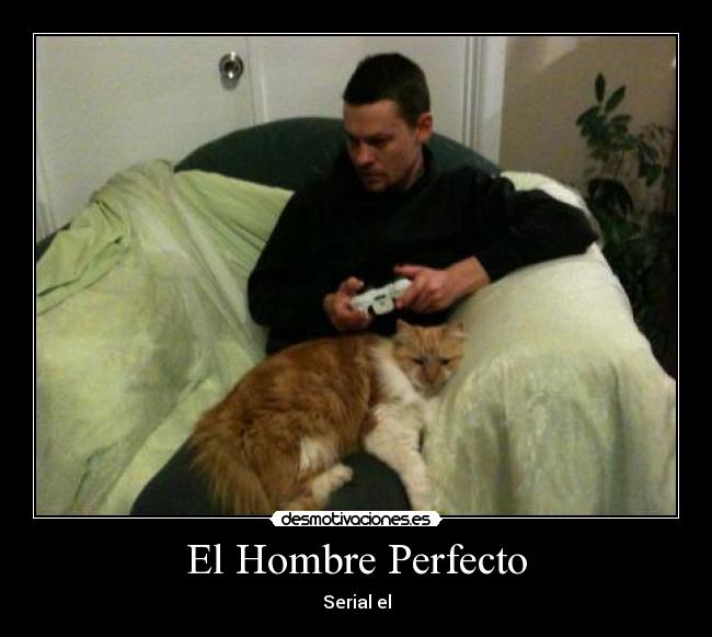 El Hombre Perfecto - Serial el