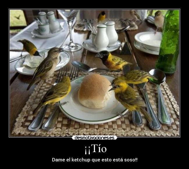 ¡¡Tío - Dame el ketchup que esto está soso!!