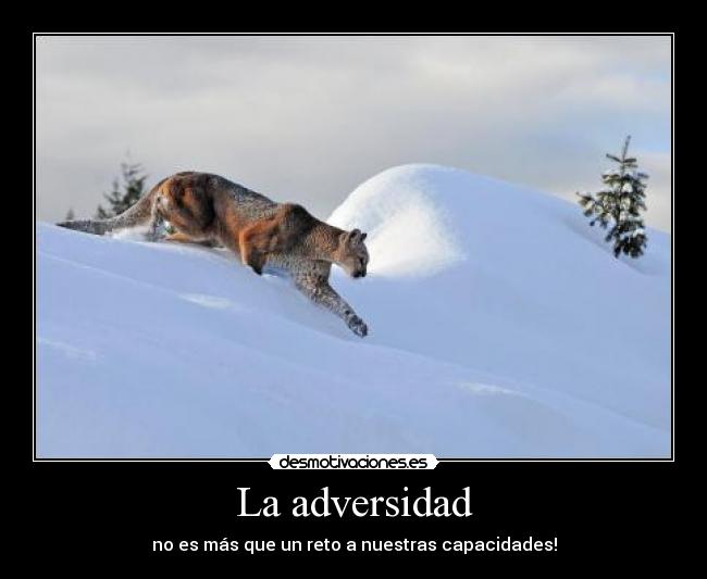 La adversidad - no es más que un reto a nuestras capacidades!
