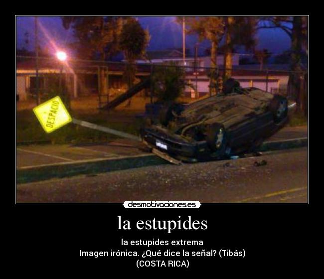 la estupides - 