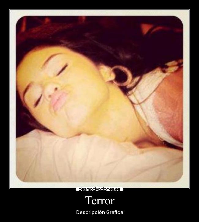 Terror - Descripción Grafica