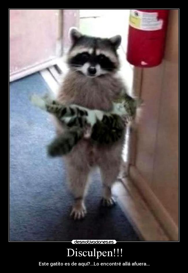 Disculpen!!! -