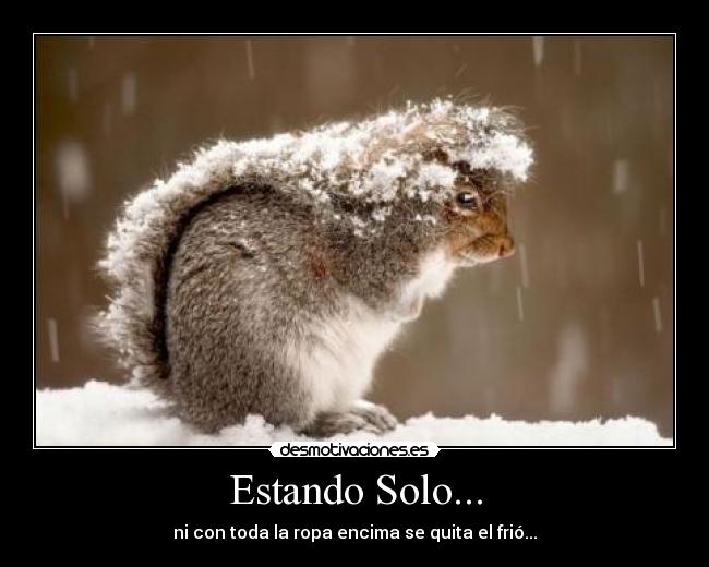 Estando Solo... - ni con toda la ropa encima se quita el frió...