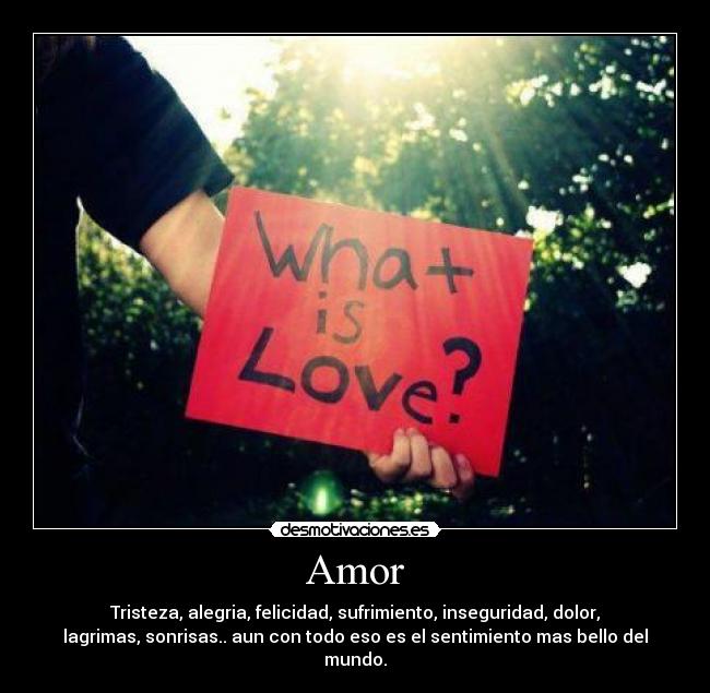 Amor - 