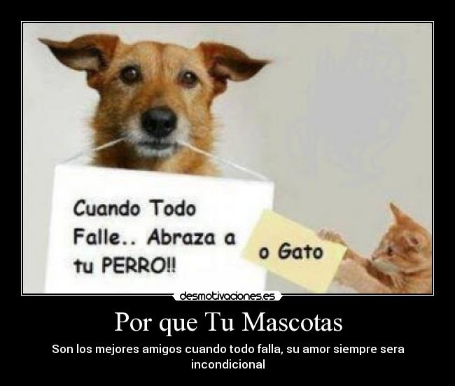 Por que Tu Mascotas - 