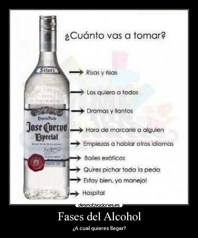 Fases del Alcohol - ¿A cual quieres llegar?