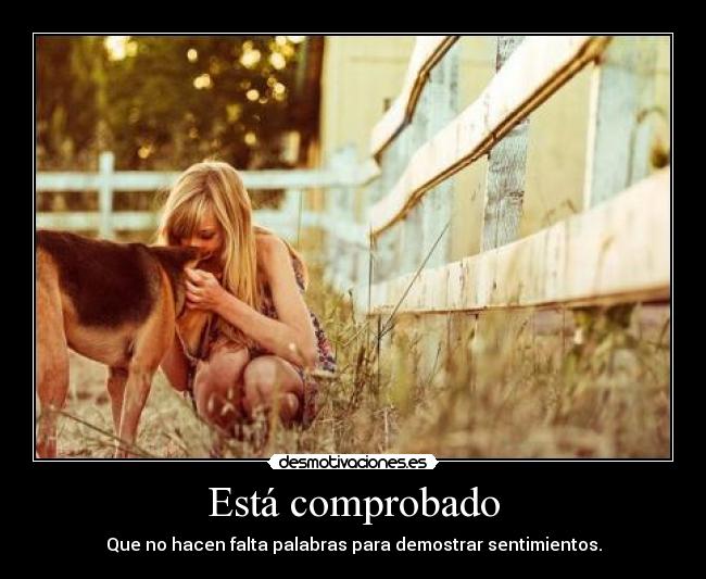 Está comprobado - Que no hacen falta palabras para demostrar sentimientos.