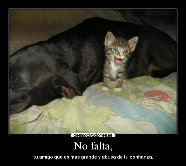 No falta, - 