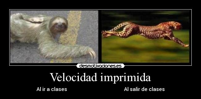 Velocidad imprimida - Al ir a clases                                              Al salir de clases