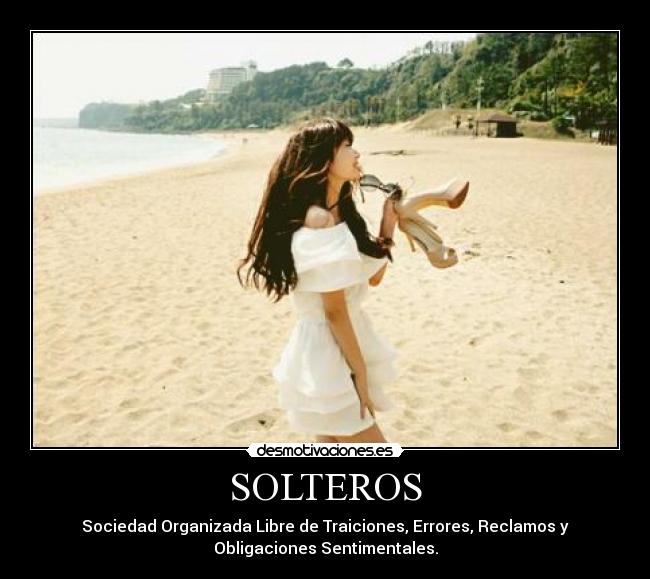 carteles solteria desmotivaciones