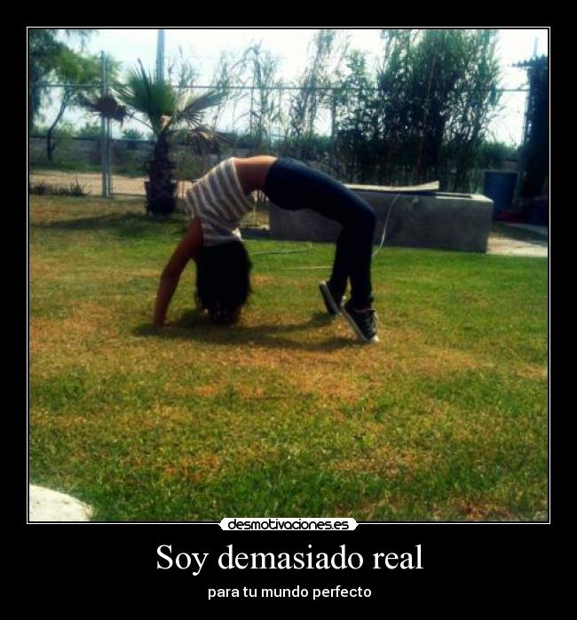 carteles soy demasiado real para mundo perfecto desmotivaciones