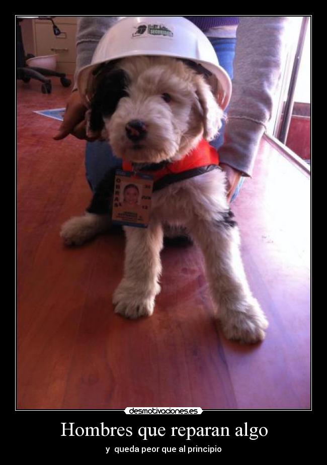 carteles hombres solo digan que saben desmotivaciones