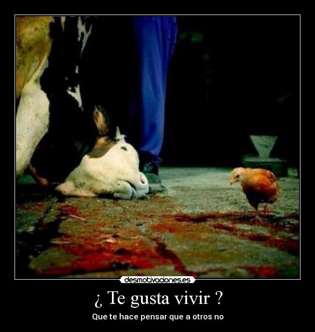 carteles awwww desmotivaciones