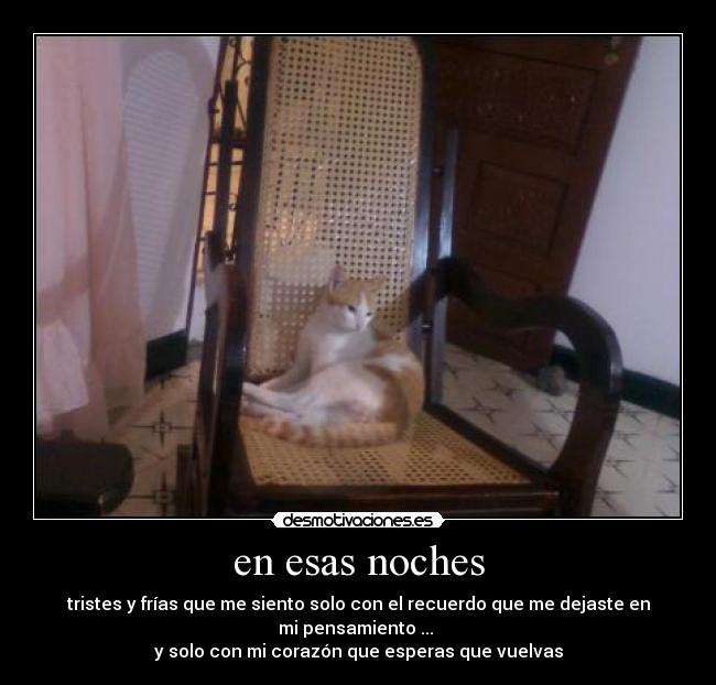 en esas noches - tristes y frías que me siento solo con el recuerdo que me dejaste en mi pensamiento ... 
y solo con mi corazón que esperas que vuelvas