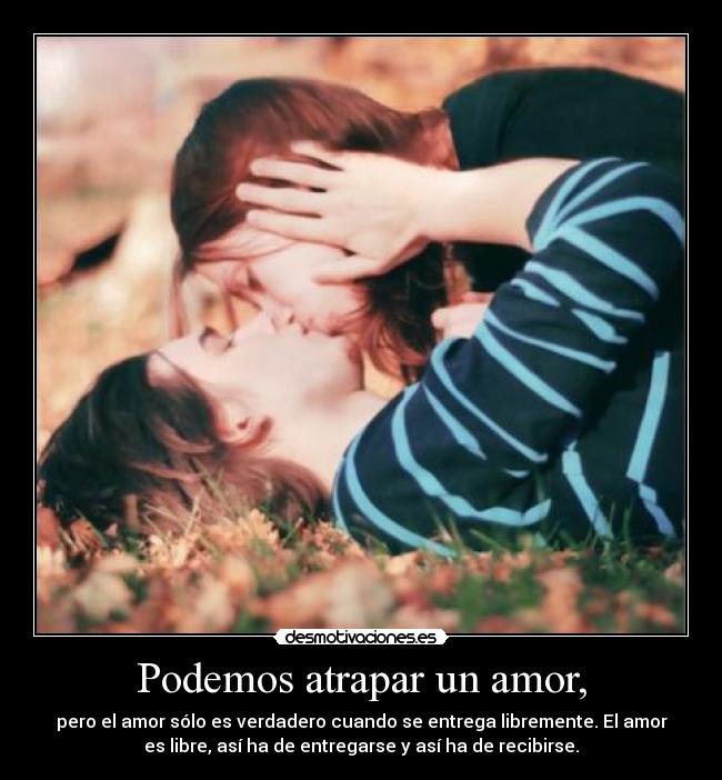 carteles amor hola desmotivaciones