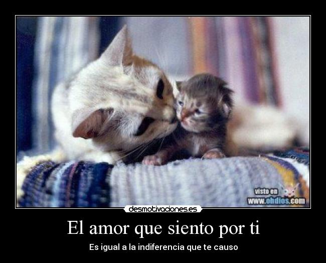 El amor que siento por ti -