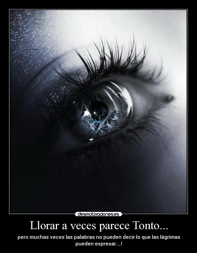 carteles llorar tonto lloraravecesparecetonto desmotivaciones