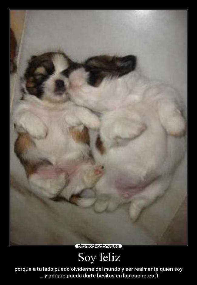 carteles diana martinez desmotivaciones