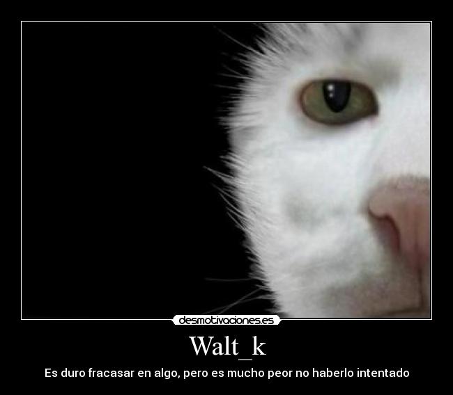 Walt_k -