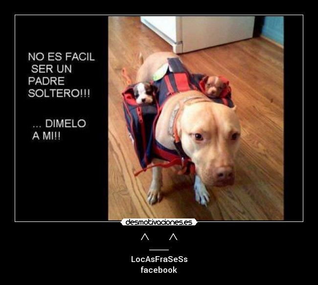 carteles padre soltero desmotivaciones