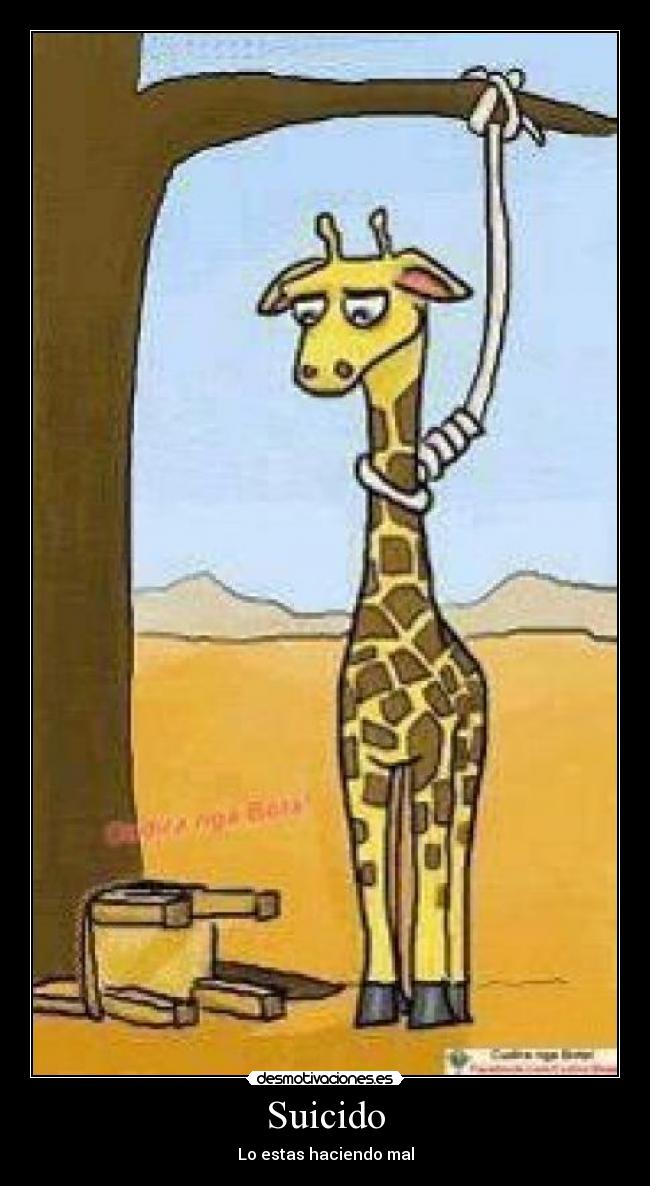 Suicido - 
