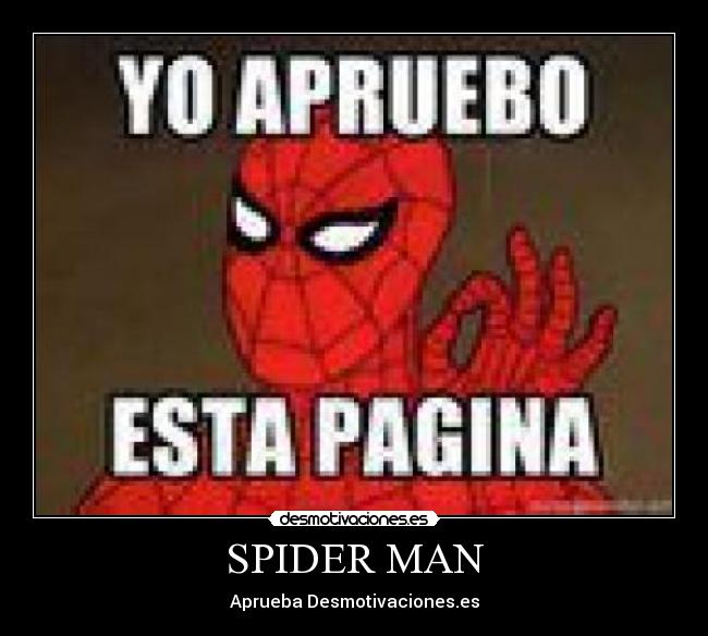 SPIDER MAN -