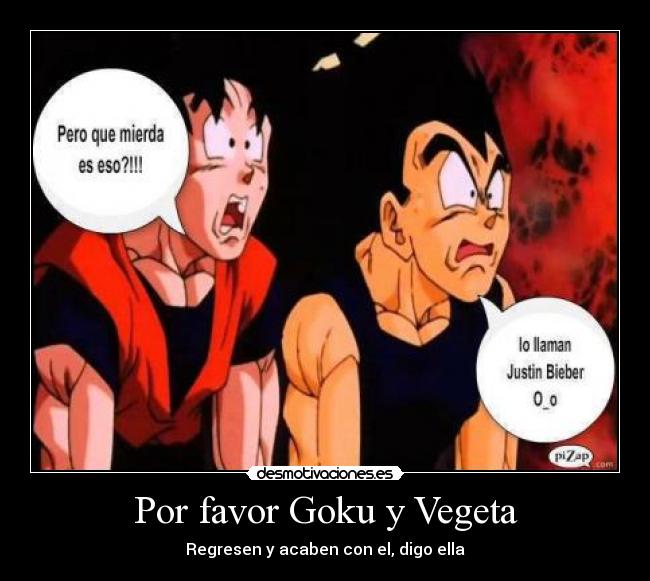Por favor Goku y Vegeta -