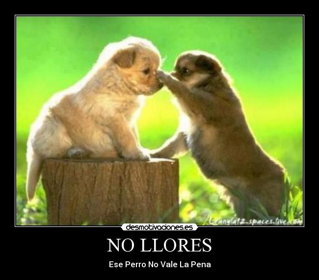 carteles criisteeanciito0 jbviera123 yulieth ladino sarplpe desmotivaciones