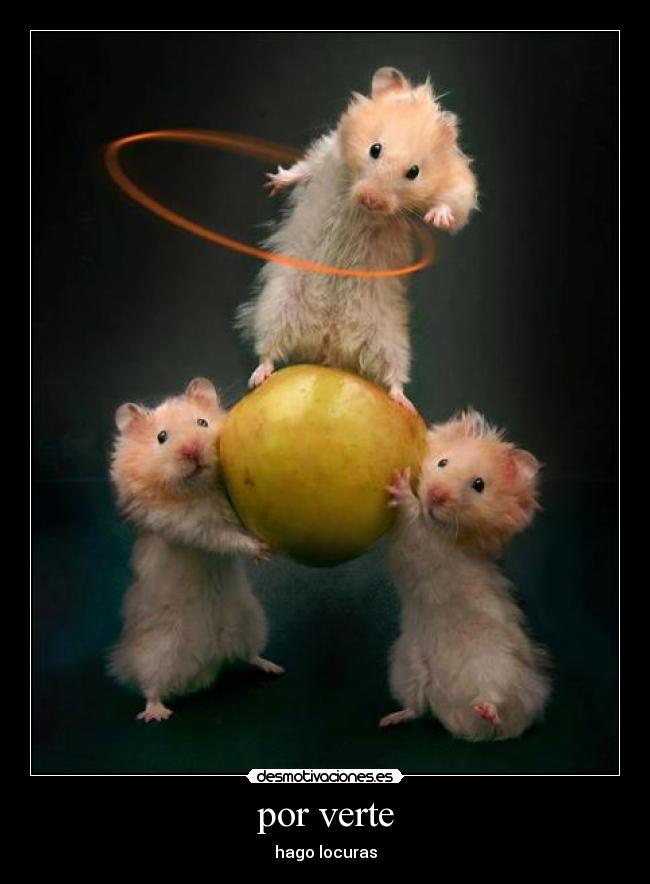 por verte - hago locuras