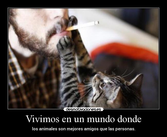 Vivimos en un mundo donde - los animales son mejores amigos que las personas.