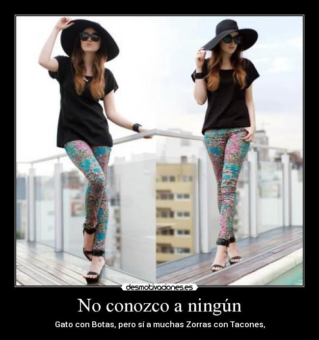 No conozco a ningún -