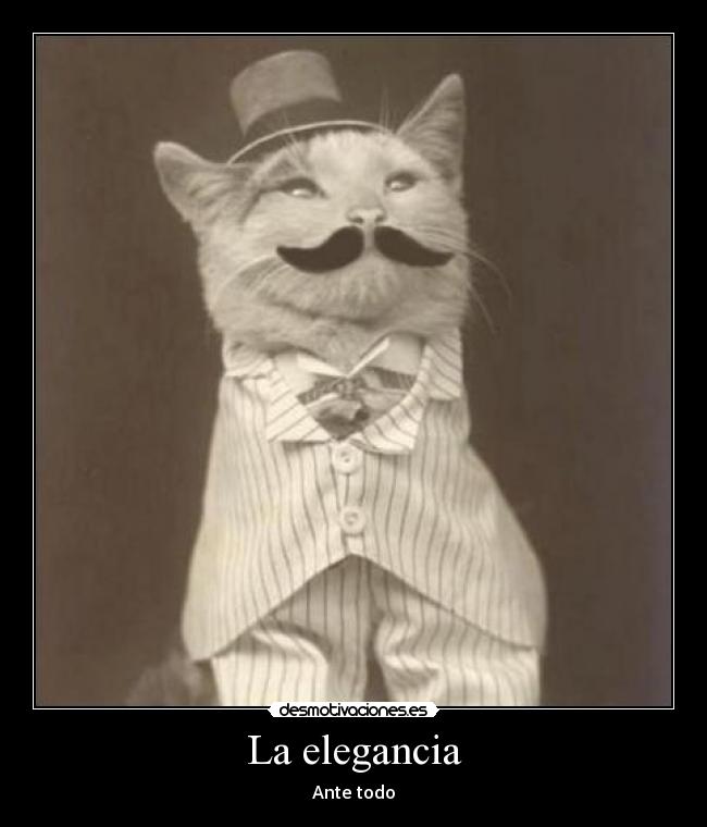 La elegancia - Ante todo