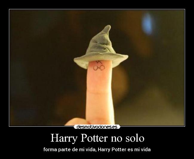 Harry Potter no solo - forma parte de mi vida, Harry Potter es mi vida
