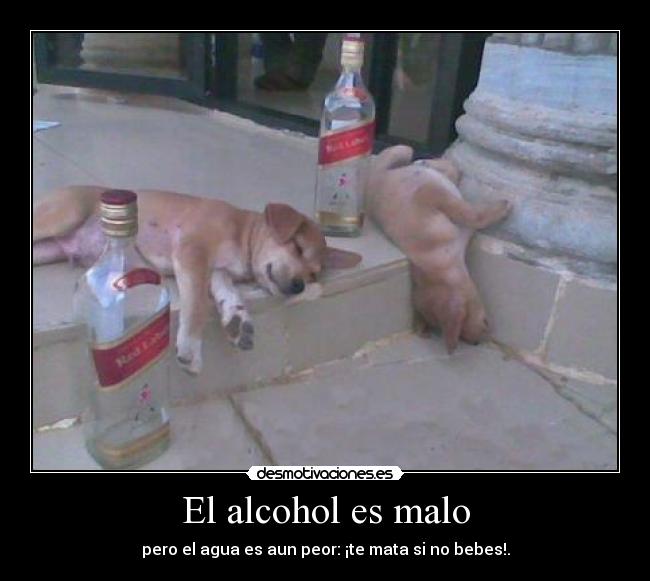 El alcohol es malo - pero el agua es aun peor: ¡te mata si no bebes!.