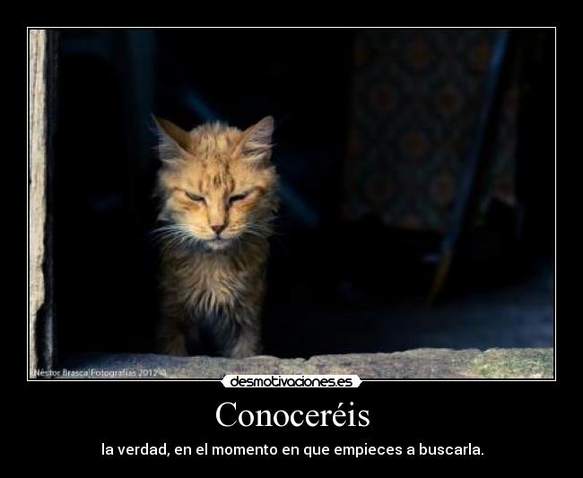 Conoceréis - la verdad, en el momento en que empieces a buscarla.