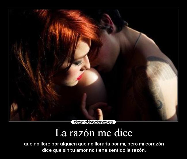 carteles puma dice contacto del amor todo mundo poeta desmotivaciones