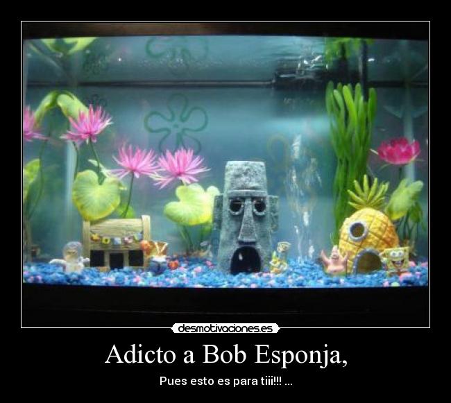 Adicto a Bob Esponja, -
