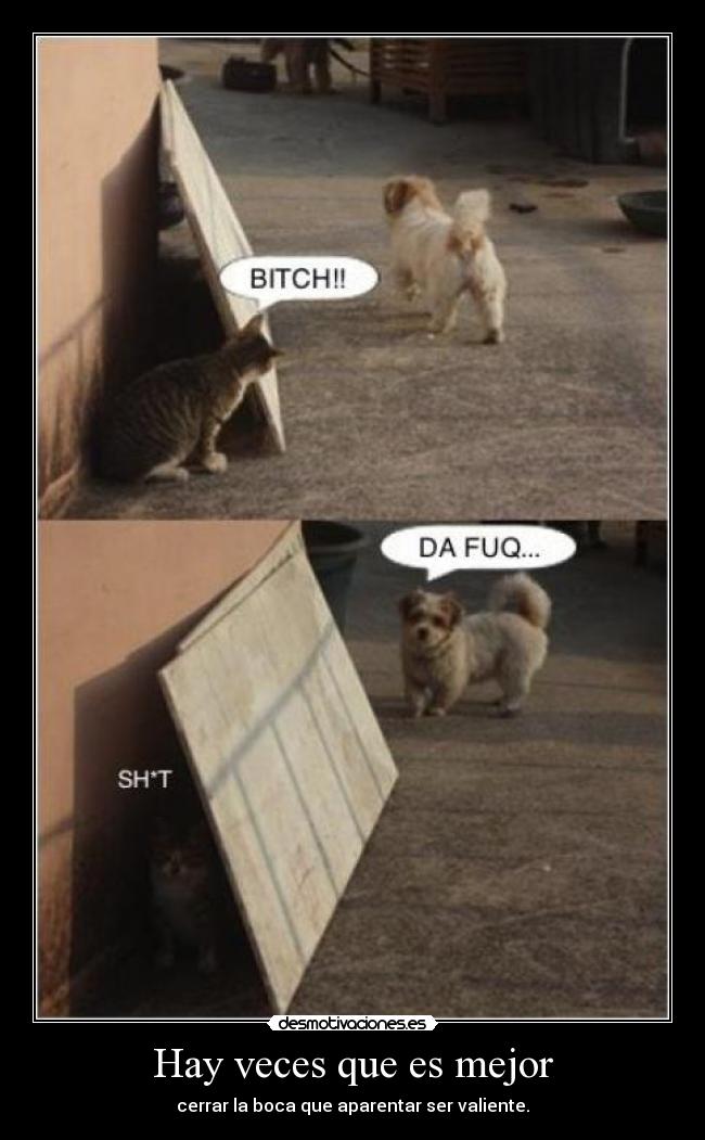 carteles stay strong desmotivaciones