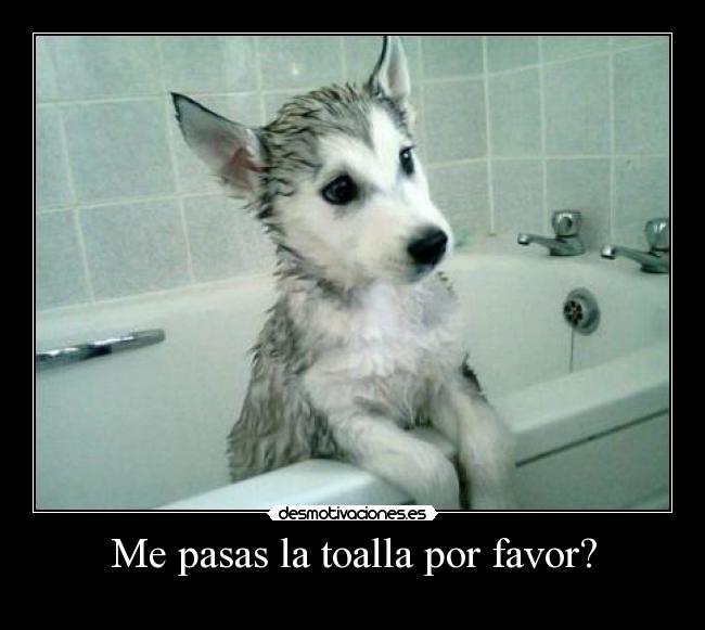 Me pasas la toalla por favor? -