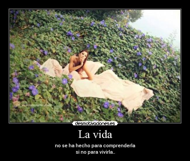 La vida - 