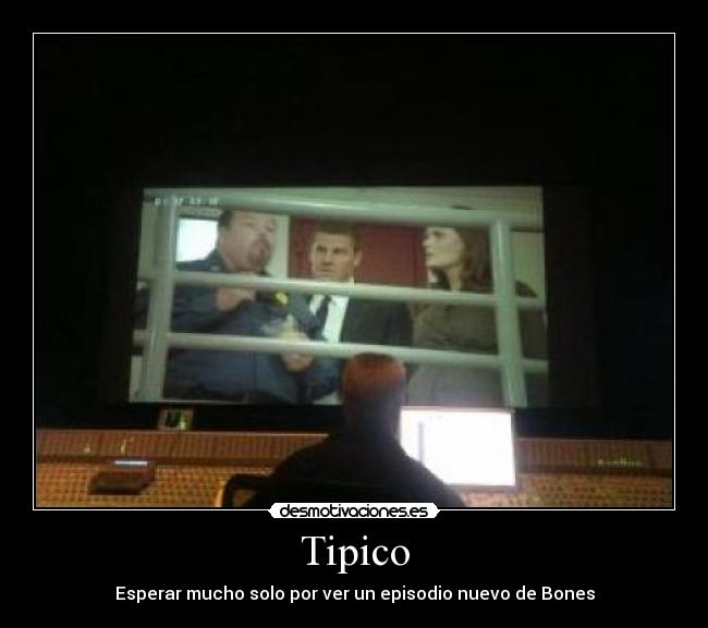 Tipico -