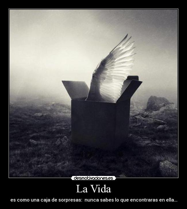 La Vida - 