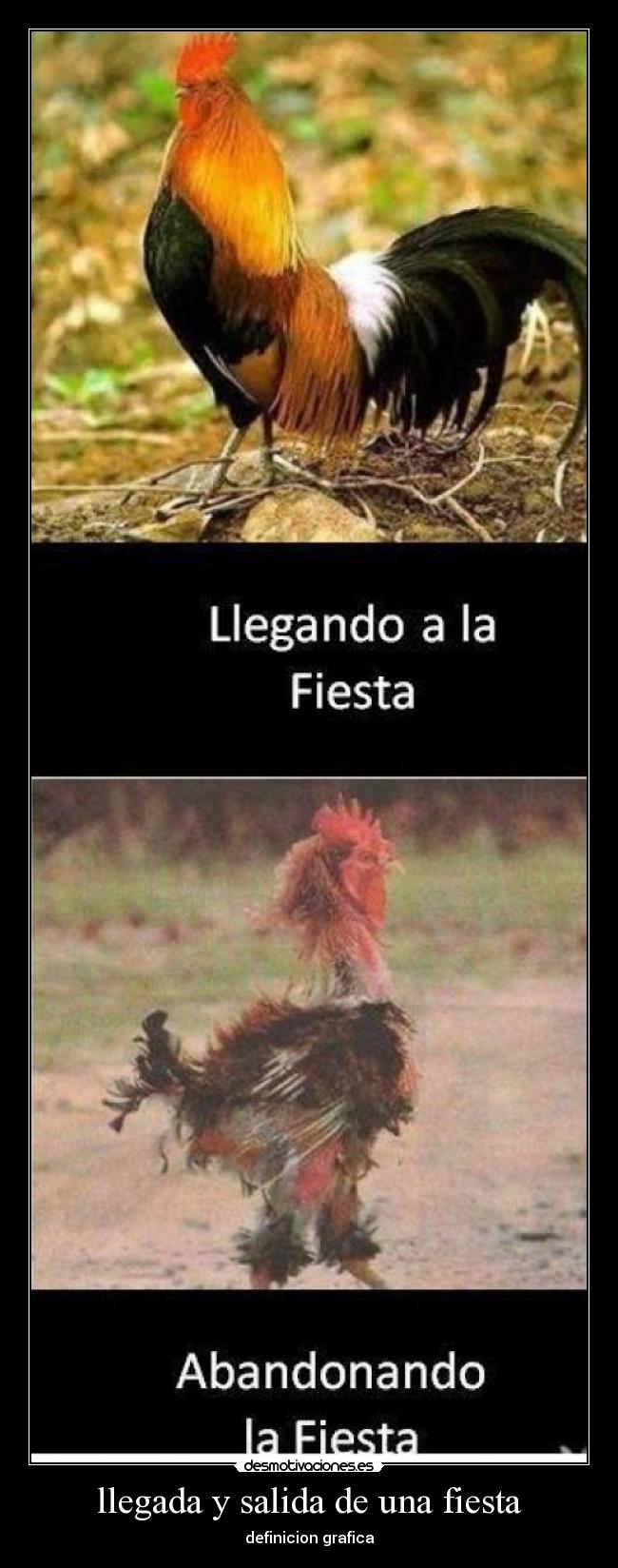 llegada y salida de una fiesta - definicion grafica