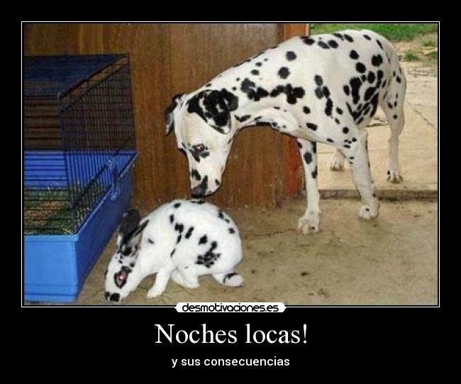 Noches locas! -
