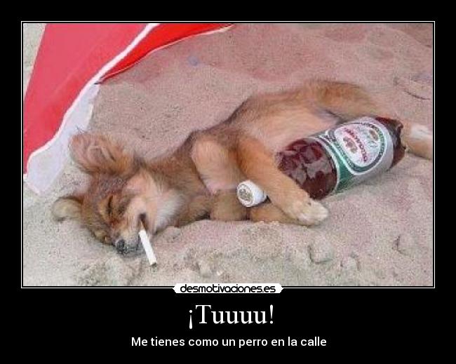 ¡Tuuuu! - Me tienes como un perro en la calle