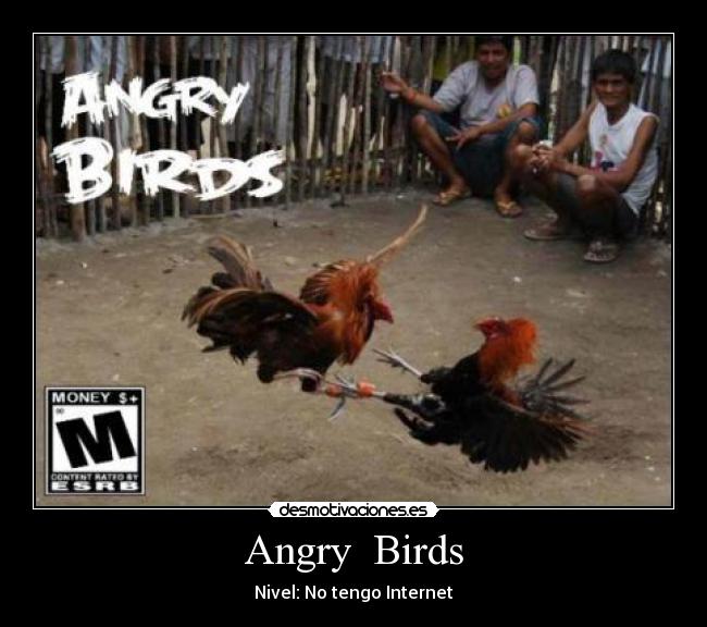Angry  Birds - 