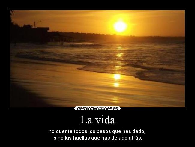 La vida -